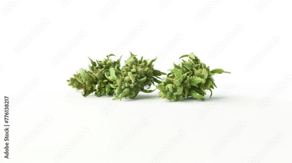 Fototapeta premium Cannabis Buds, Marijuana Plant, Weed