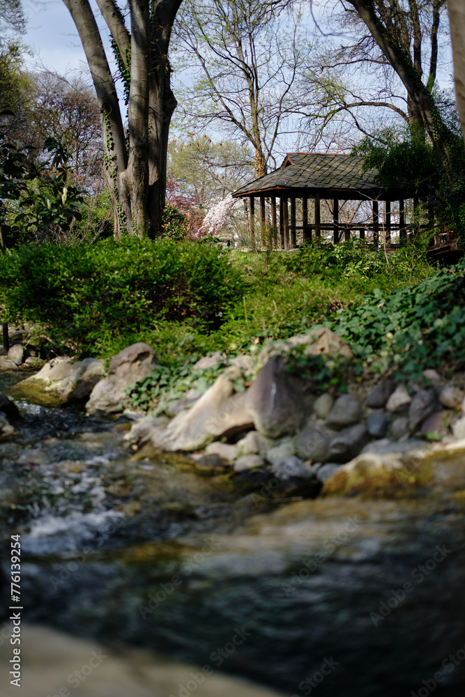 Beautiful wooden gazebo in the spring park near the pond. Japanese Garden in Botanical Garden Jevremovac , Belgrade- Serbia.