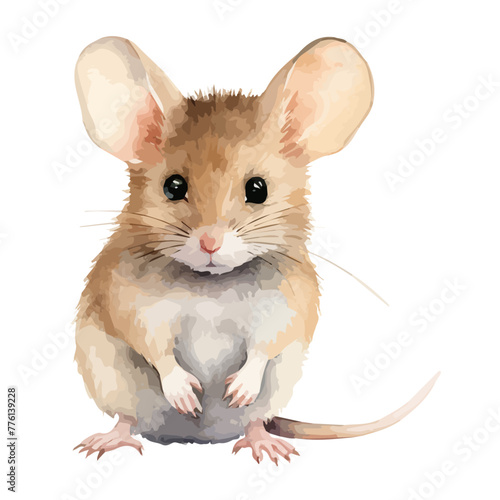 Watercolor vector of a mouse, isolated on a white background, design art, drawing clipart, Illustration painting, Graphic logo, mouse vector  photo