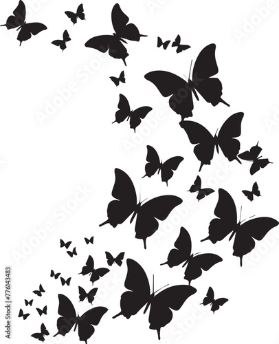 Set of Butterfly Black Silhouette on white background 