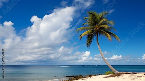 beach with palm tree