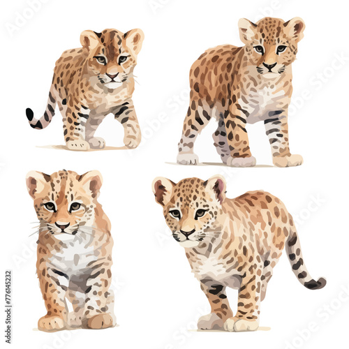 Watercolor vector of set baby leopard, isolated on a white background, design art, drawing clipart, Illustration painting, Graphic logo, leopard vector 