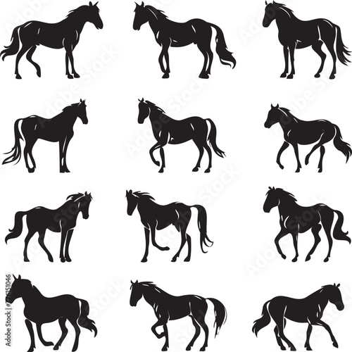 Set of Black silhouette Horse
