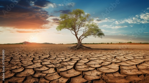 World Day Against Drought showcasing the impact of climate change