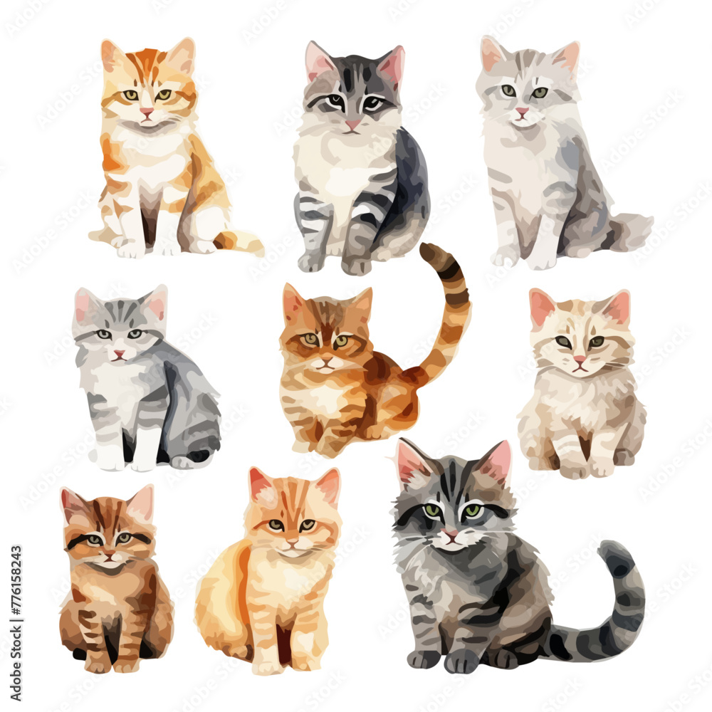 Watercolor drawing vector of cat collection, isolated on a white ...