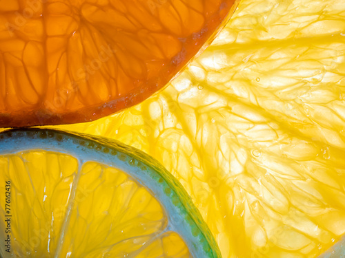 Citrus fruit slices on white background, top view. Closeup. 