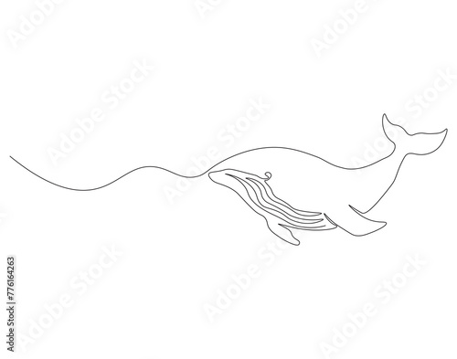Fototapeta Naklejka Na Ścianę i Meble -  Continuous line drawing of blue whale fish. One line of swimming blue whale. Marine animal concept continuous line art. Editable outline.