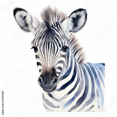 Watercolor Vector painting of a Zebra  isolated on a white background  Zebra vector  Zebra clipart  Zebra art  Zebra painting  Zebra Graphic  drawing clipart.