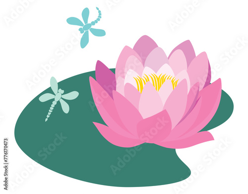 Water lily flower, pink, leaf green, summer pond, flying dragonflies, vector illustration isolated on white