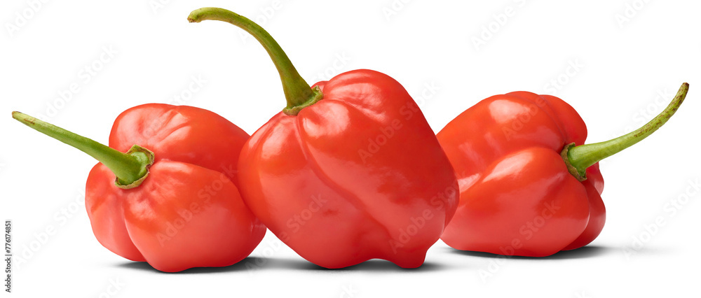 three red habanero chili peppers isolated white background, capsicum chinense, hottest spice with wrinkled or dimpled skin intense spiciness flavor, side view of culinary ingredient - obrazy, fototapety, plakaty 