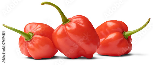 three red habanero chili peppers isolated white background, capsicum chinense, hottest spice with wrinkled or dimpled skin intense spiciness flavor, side view of culinary ingredient