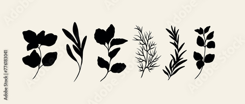 Flat vector herbs collection. Botanical illustration