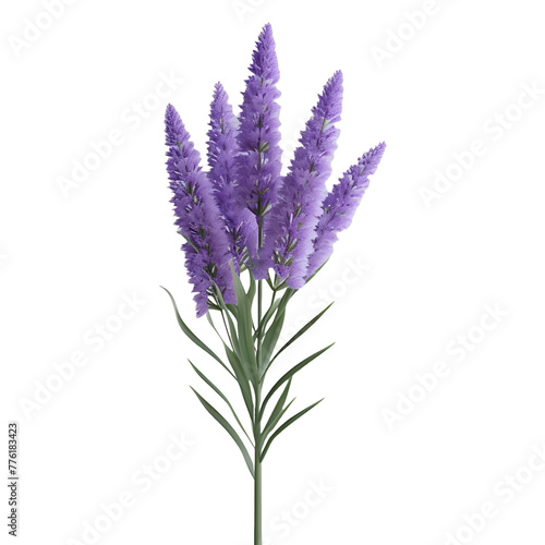 Lavender Flower on Transparent background - Ai Generated