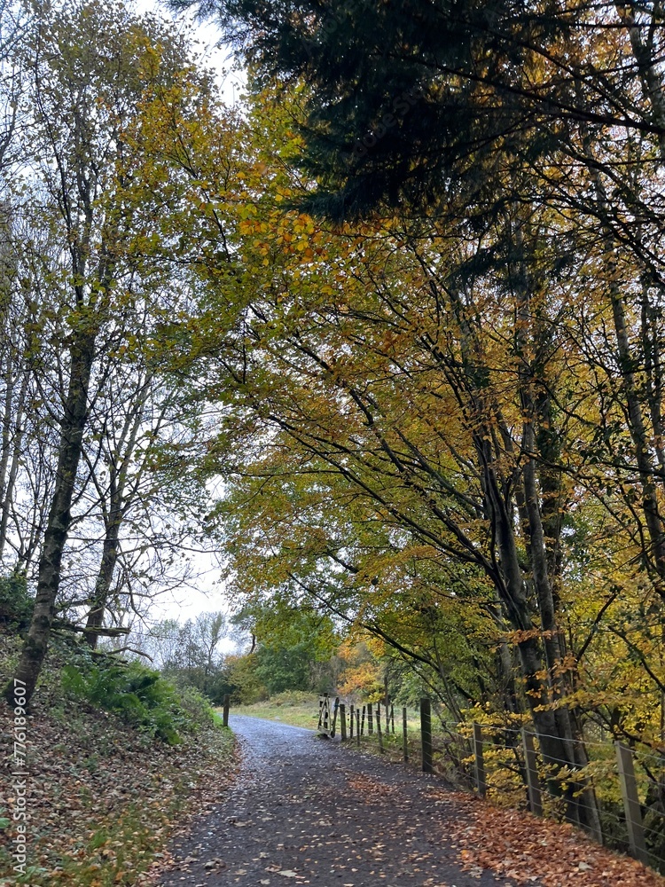 Fototapeta premium Escocia