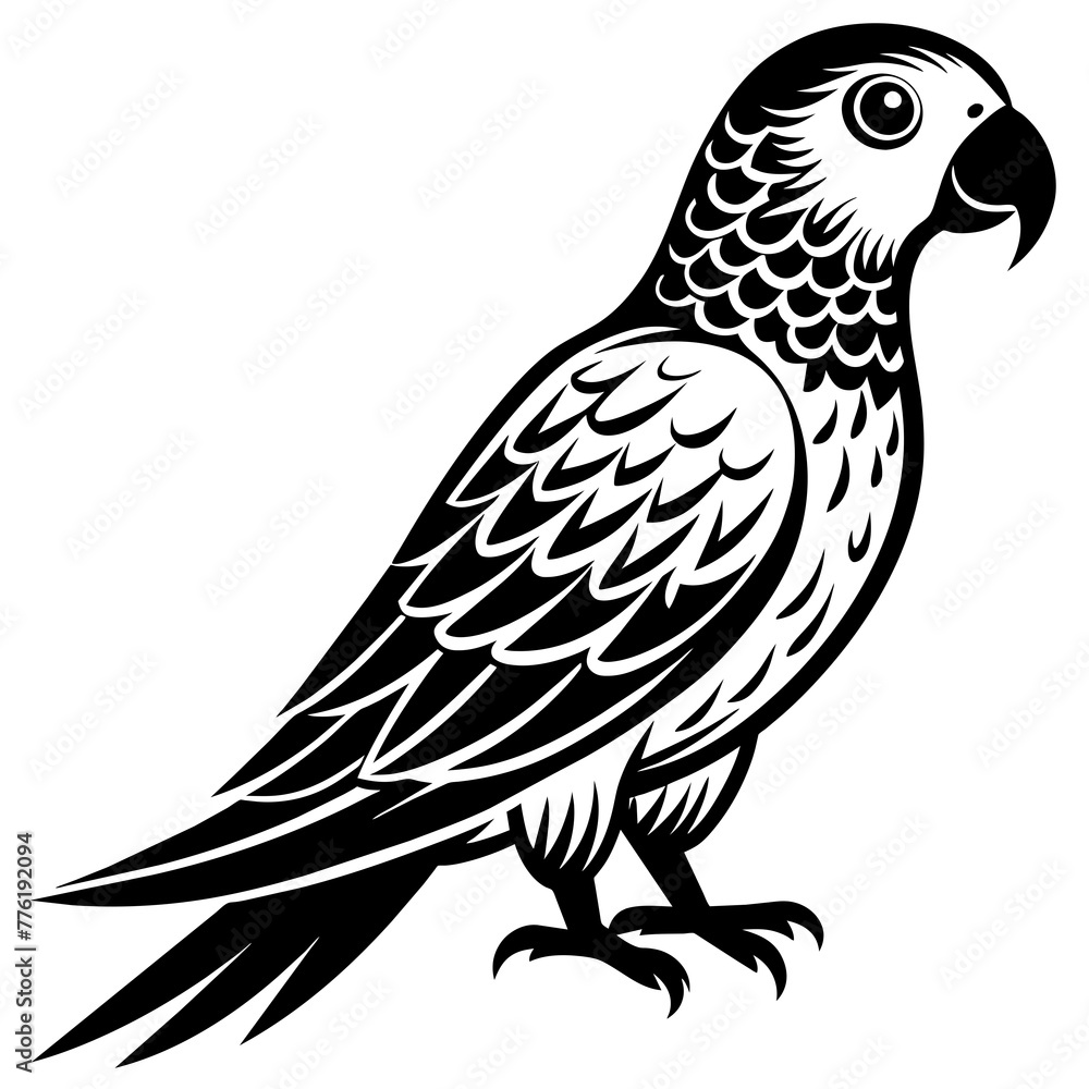 Fototapeta premium parrot silhouette vector illustration svg file 