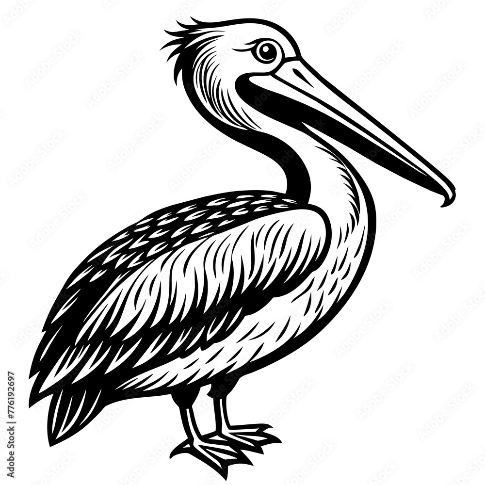 pelican silhouette vector illustration svg file
pelican silhouette vector illustration svg file