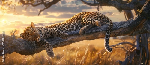 A wild leopard is relaxing on a tall tree trunk AI generated image