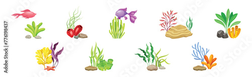 Sea Coral as Underwater Ocean Bottom Object Vector Set