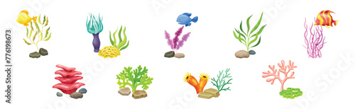 Sea Coral as Underwater Ocean Bottom Object Vector Set
