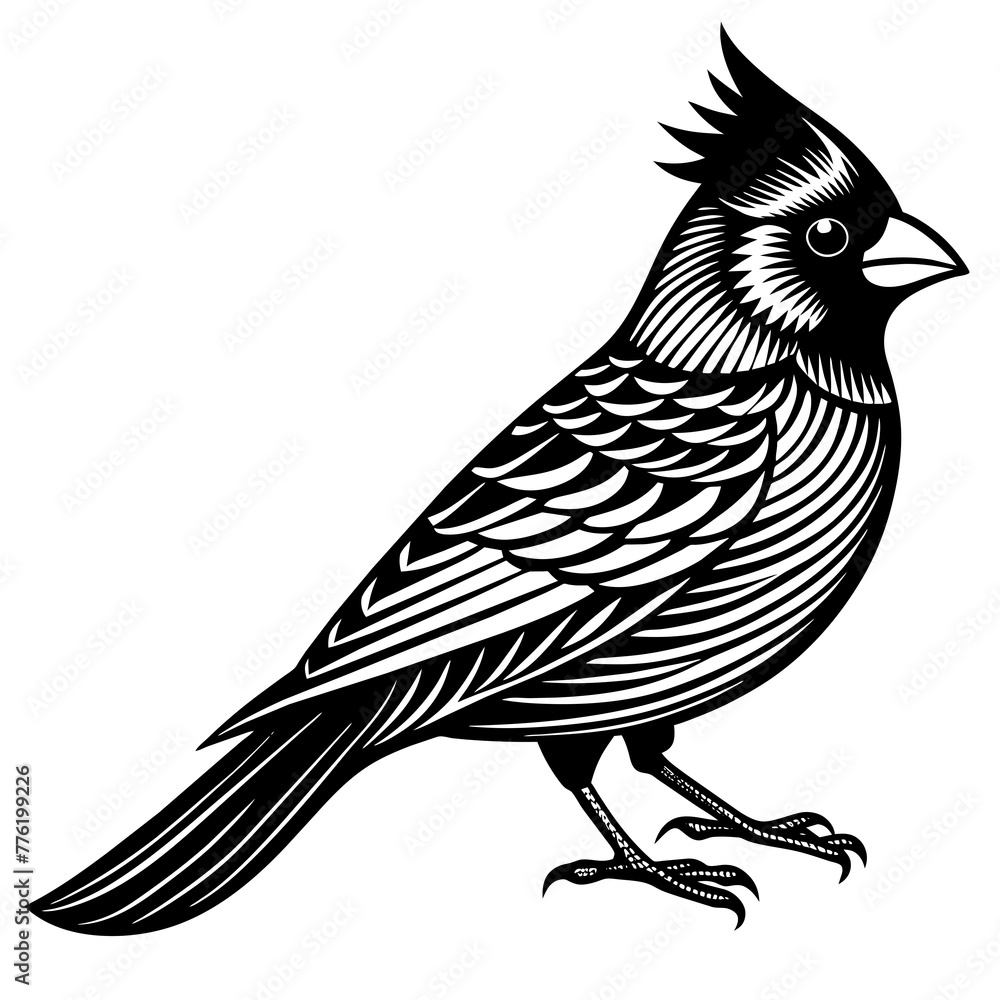 cardinal silhouette vector illustration svg file
cardinal silhouette vector illustration svg file