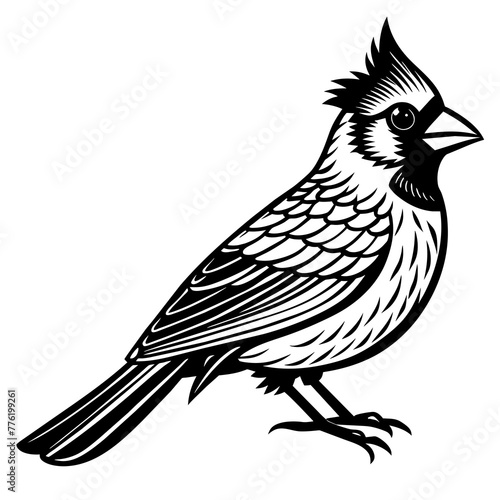 cardinal silhouette vector illustration svg file
