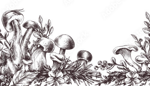 Forest mushrooms, boletus, chanterelles and blueberries, lingonberries, twigs, cones, leaves. Graphic illustration hand drawn in black ink. border, template EPS vector.