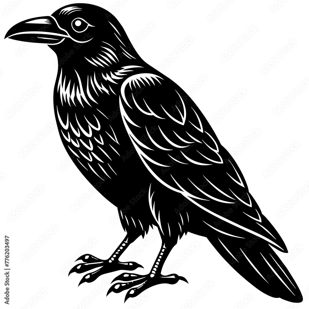 Fototapeta premium crow silhouette vector illustration svg file 