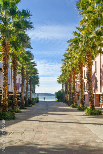 Palm-lined street leading to the lake in the medieval village overlooking Lake Garda, Sirmione, Brescia, Lombardy, Italy
