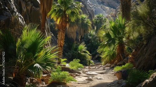 A hidden oasis tucked away in a desert canyon  where lush vegetation thrives against the backdrop of arid terrain.