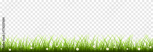 Vector young green grass. Grass png. Young grass, lawn. Grass borders.