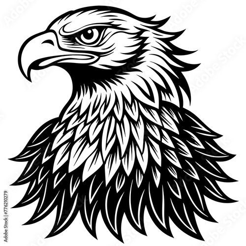 eagle silhouette vector illustration svg file

