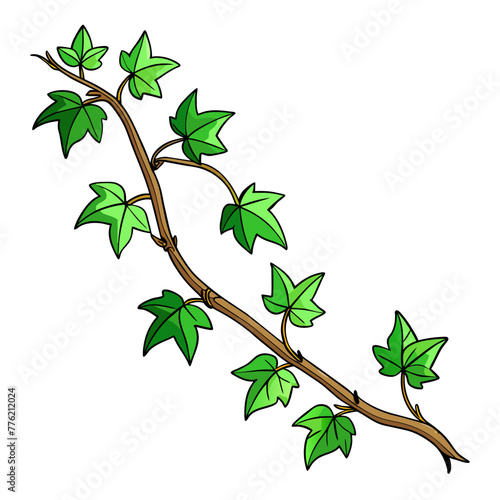 Green climbing ivy creeper branch twig, hand drawing from rea
