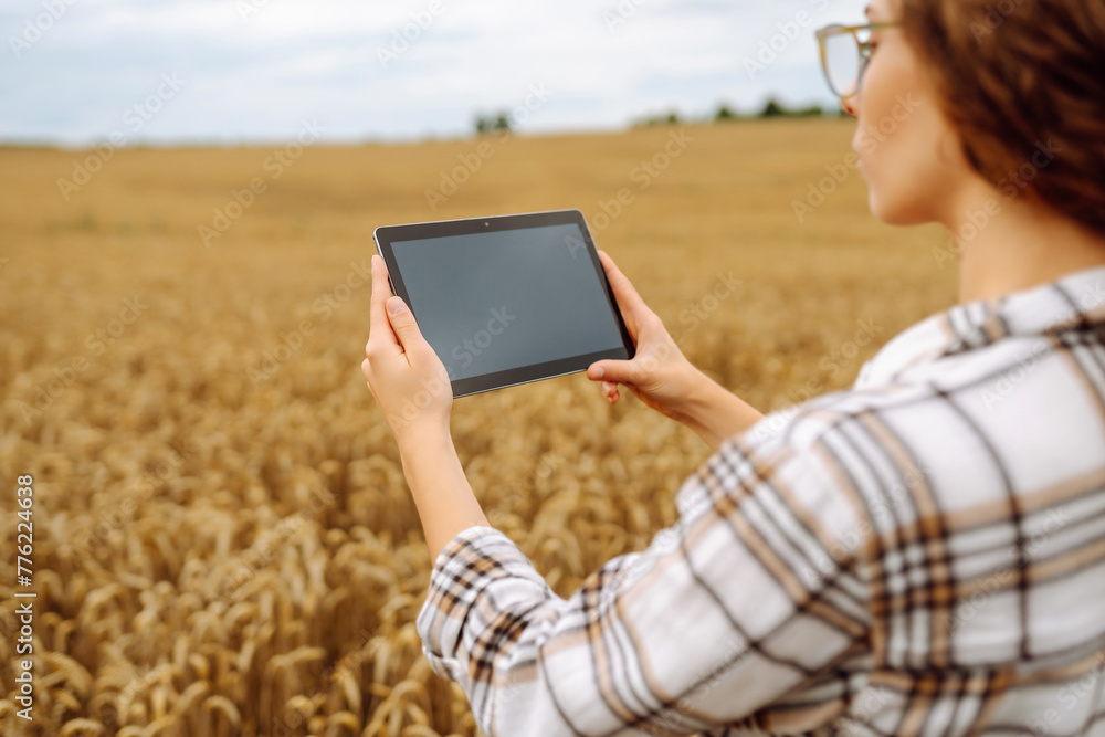 Woman agronomist in a field with a tablet checks the growth of the crop. Smart farm. Harvesting. Agricultural concept.