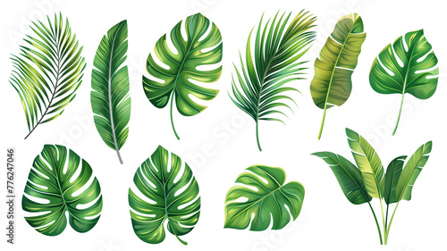 A collection of fresh green leaves in various shapes and sizes perfect for design projects