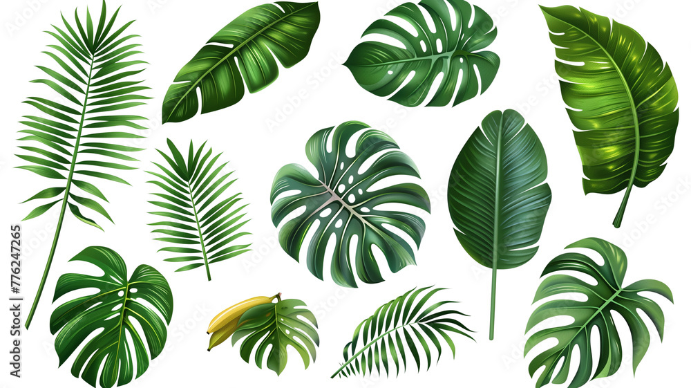 A collection of green and tropical leaves in a summery design