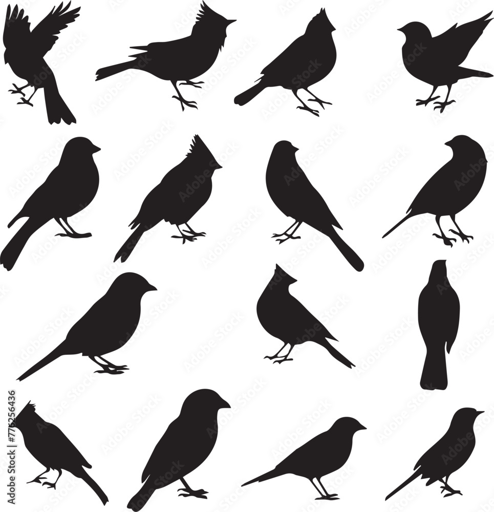 Fototapeta premium Set of Birds Black on white background