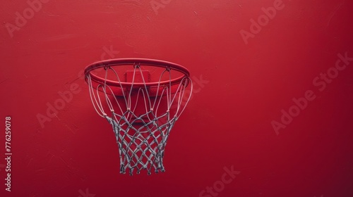 Basketball Hoop on Red Wall © LUPACO IMAGES