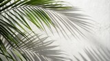 palm tree leaves, Palm leaves natural shadow overlay isolated on white textured wall. Background for product presentation, backdrop and mockup