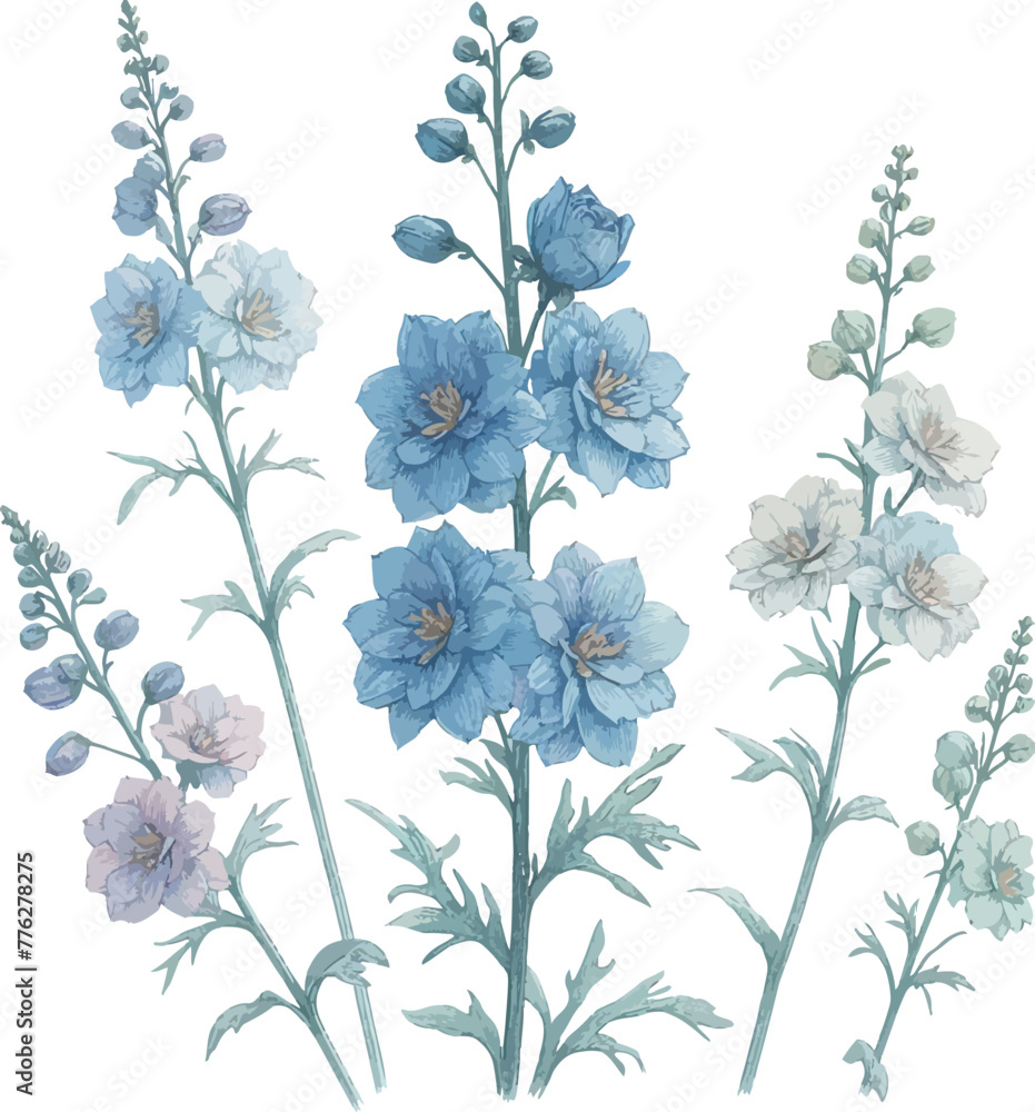 delphinium flower
in pastel colors, watercolor style in vector