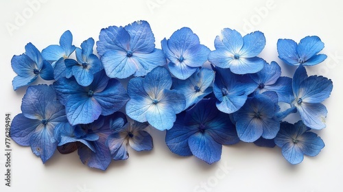   A collection of blue blooms resting atop a pristine white counter  aligned side by side on the surface