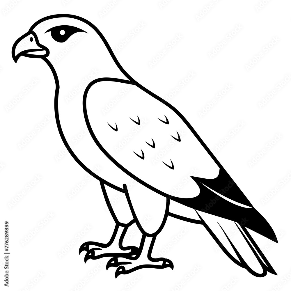 Fototapeta premium Premium vector | hawk falcon Line art outline of a beautiful bird - Vector illustration