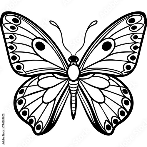  high quality vector art   butterfly illustration line art, outline   adobe stock  © Ferdous