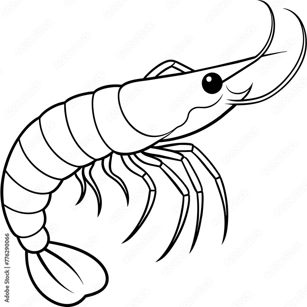 Premium Line art | Outline colouring book kids Shrimp - Vector illustration | adobe stock Premium Line art | Outline colouring book kids Shrimp - Vector illustration | adobe stock