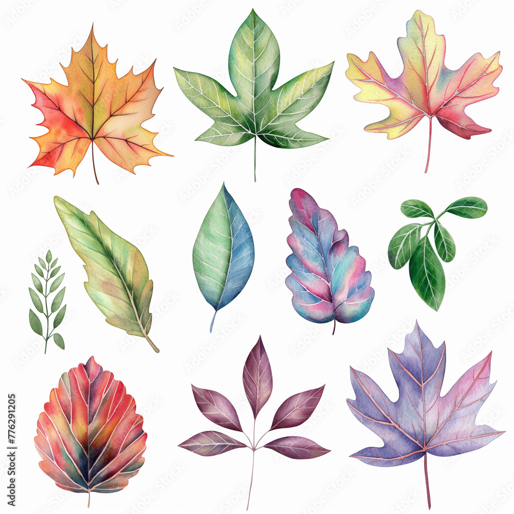 watercolor drawing set of different leaves watercolor drawing set of different leaves