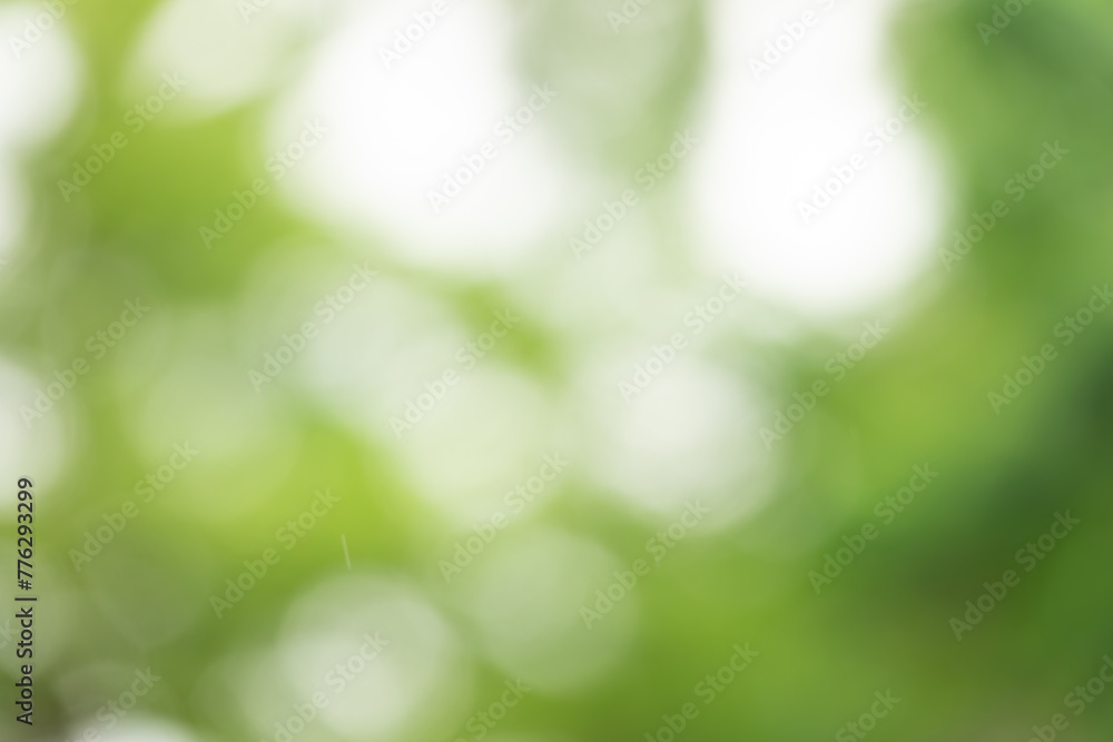 A blurry green background with a few leaves