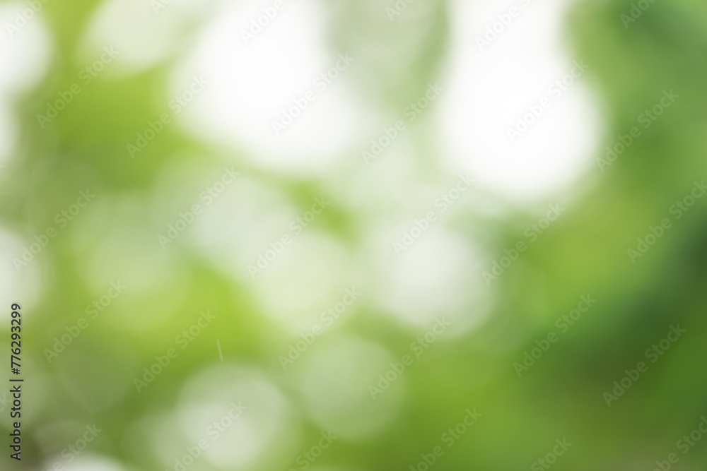 A blurry green background with a few leaves A blurry green background with a few leaves