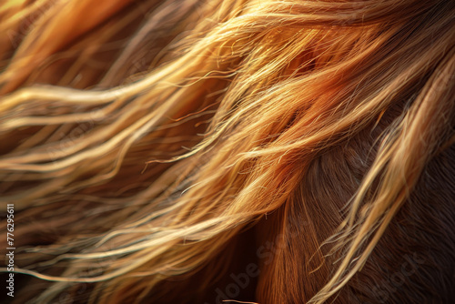 A close up of a horse s mane with a lot of hair