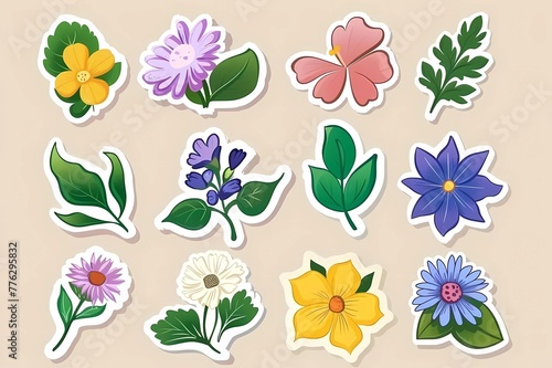 Wallpaper Mural collection of different flowers on a plain background Torontodigital.ca