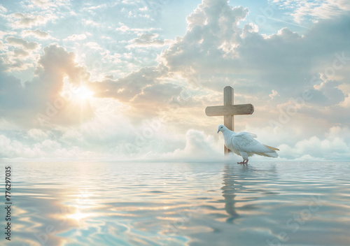 The Cross and White Dove in Ocean under Magical Sky 7