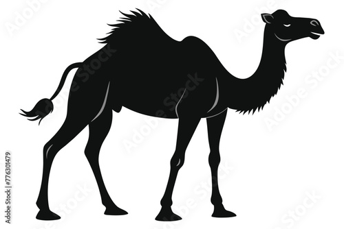 the-silhouette-of-a-camel-on-its-hind-legs-white-b  1 .eps